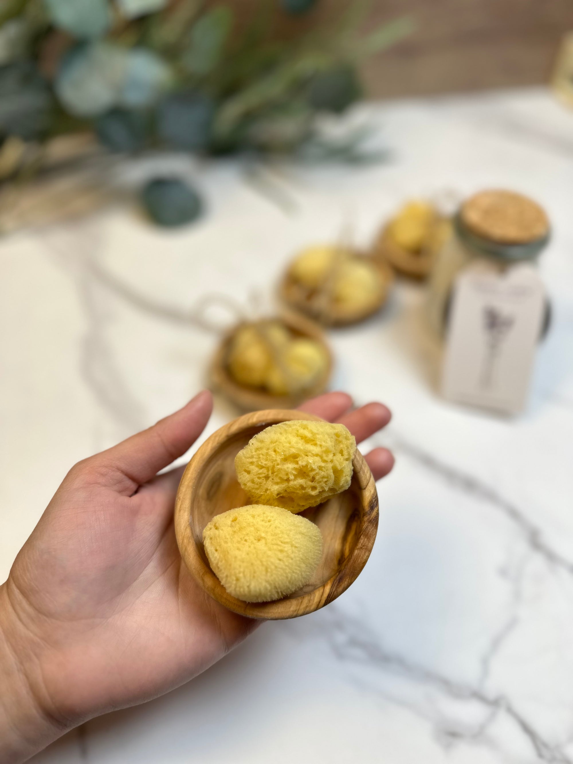 Dead Sea sponge set