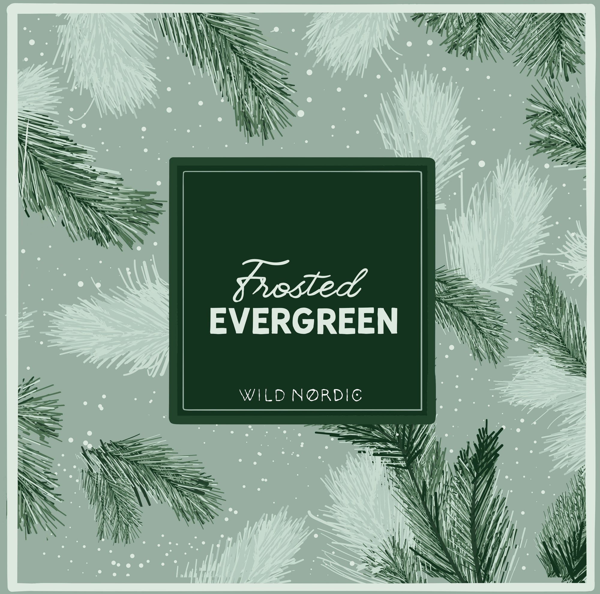 Frosted Evergreen Sugar Scrub