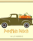 Pumpkin Patch Sugar Scrub