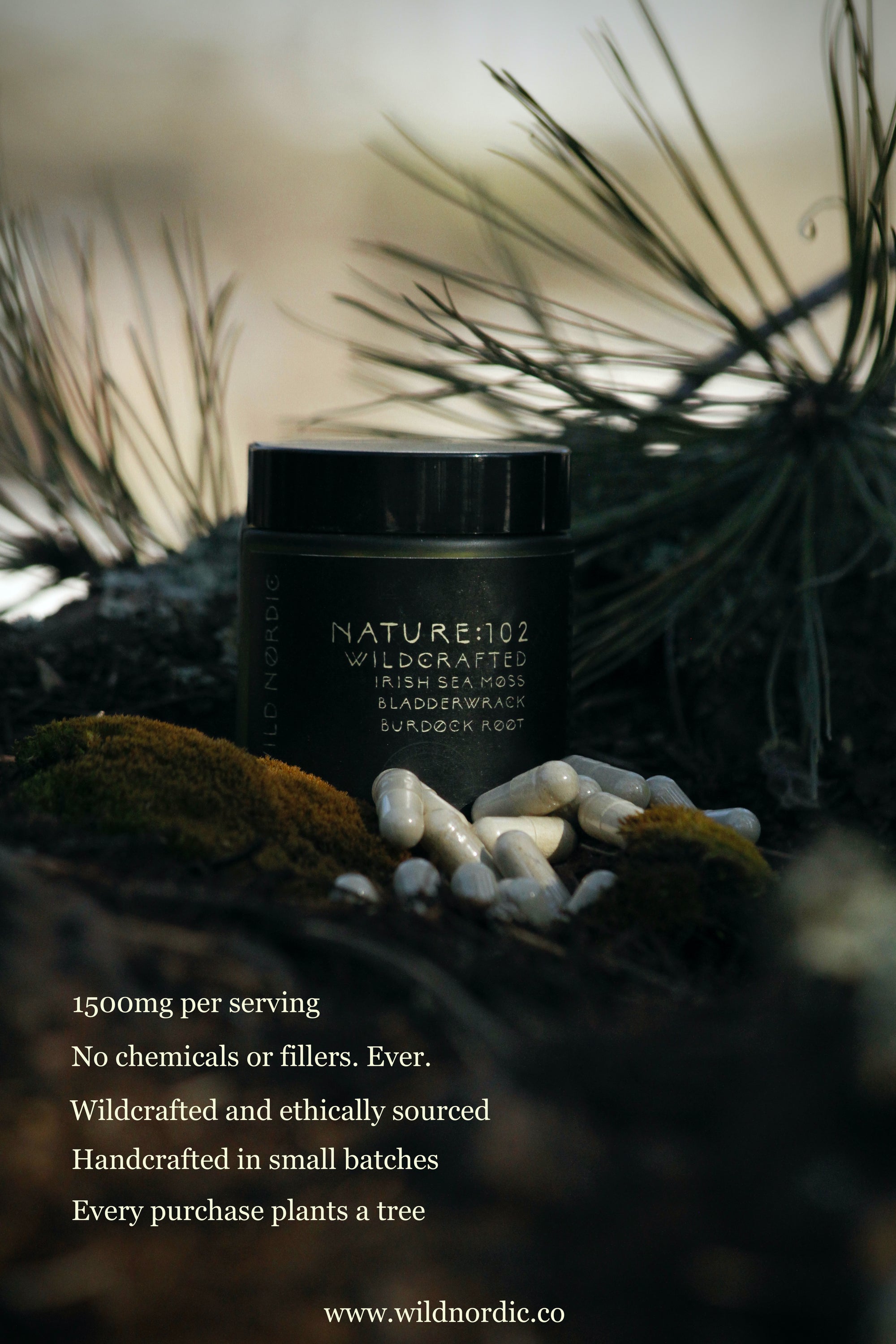 Nature 102